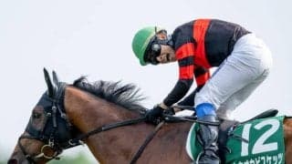 【札幌記念】ホウオウビスケッツ、ステレンボッシュらが登録