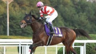 【盛岡・クラスターC注目馬】秋の飛躍誓う快足馬14頭 みちのくに集結 