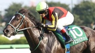 【ジャックルマロワ賞】アスコリピチェーノ＆ゴートゥファースト、現地で最終調整完了…13日の追い切りも上々