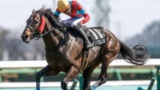 【新潟JS予想】スピード問われる夏の障害重賞を制すのは