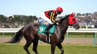 【仏ジャックルマロワ賞】ルメール「不規則なペース配分が合わなかった印象」アスコリピチェーノは6着