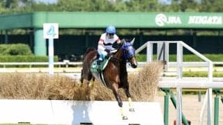 ホッコーメヴィウスが浅屈腱炎で競走馬登録抹消
