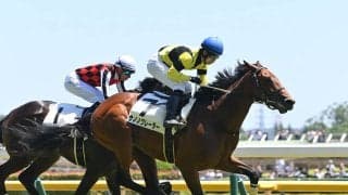 【競馬予想】新潟２歳Ｓは素質馬２頭が有力も、穴党記者は異なる展開で浮上する伏兵２頭に熱視線