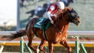 【キーンランドC予想】近走のパフォーマンスが見られない可能性大!? 実績十分のベテランに立ちはだかる消去法データとは