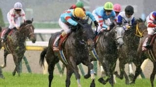 【新潟記念登録馬】エネルジコなど17頭