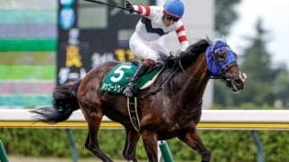 【先週のJRA抹消馬】障害重賞4勝のホッコーメヴィウス、ダート短距離で6勝挙げたアームズレインなど
