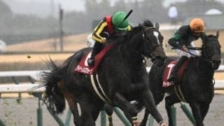 【新潟記念予想】前走のパフォーマンスは鵜呑みにできず!? 人気馬2頭が該当した消去法データ