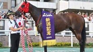 シランケドは「連対率40％」の配合パターンに該当 新潟記念覇者の血統背景を深掘り