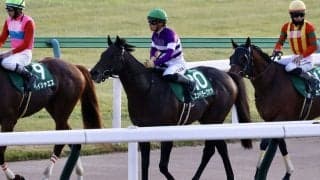 【サマーチャンピオン】エンペラーワケアは2枠2番へ