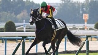 【紫苑S予想オッズ】リンクスティップが予想1番人気