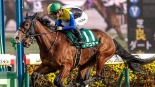 【セントウルS出走馬・騎手確定】ママコチャ＆岩田望来騎手、トウシンマカオ＆横山武史騎手など16頭