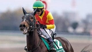 【京成杯AH枠順確定】エリカエクスプレスは6枠11番、コントラポストは4枠7番
