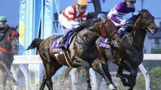 武豊騎手 今週の騎乗馬…日曜は韓国遠征