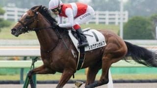 札幌芝はパワー型重視 ショウナンガルフの重賞初制覇だ