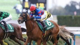 【競馬予想】セントウルＳに合う血統は？　ＧⅠスプリンターズＳへとつながる走りを期待できる２頭に注目