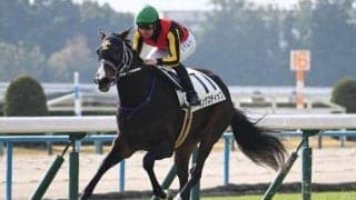 【紫苑S前日オッズ】リンクスティップが2.9倍で1番人気