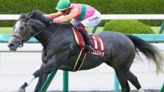 阪神芝1200mは圧倒的に逃げ有利 テイエムスパーダが押し切る