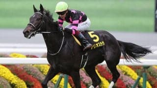 【競馬予想】中山開幕週の紫苑Ｓは今年も高速決着か　穴党記者が目をつけた好位で運べる伏兵２頭