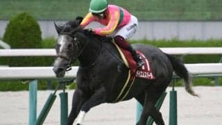 セントウルS当日の阪神芝は高速前残り馬場 テイエムスパーダ＆ヨシノイースターが狙い目だ