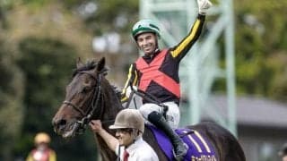 【セントライト記念】ミュージアムマイル、ジーティーアダマンらが登録