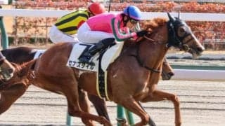 【ローズS】母はヌーヴォレコルト セナスタイルがレース史上初の母仔制覇狙う