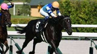 【チャレンジC枠順確定】グランヴィノスは7枠12番、サブマリーナは7枠13番