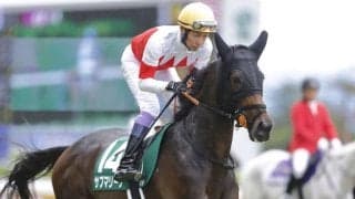 武豊騎手 今週の騎乗馬…チャレンジCはサブマリーナとのコンビ