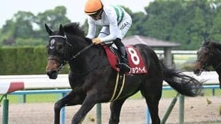 【神戸新聞杯】ショウヘイ、エリキングらが登録