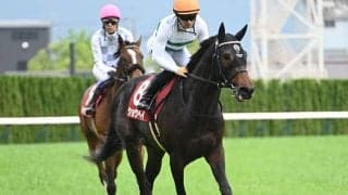 神戸新聞杯、オールカマーなど3重賞/今週の競馬界の見どころ