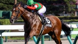 【神戸新聞杯】半兄は名馬キタサンブラック アルマデオロが3きょうだい重賞制覇なるか