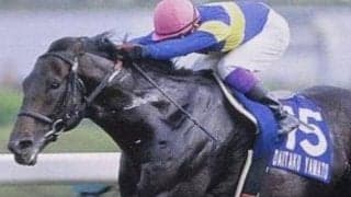 豪華メンバーに勝利で「単勝257倍」 ダイタクヤマトのスプリンターズSから四半世紀