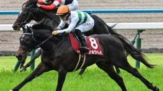 【神戸新聞杯】現役最多タイの3勝目へ 友道康夫調教師がショウヘイ＆ライトトラックの2頭出しだ