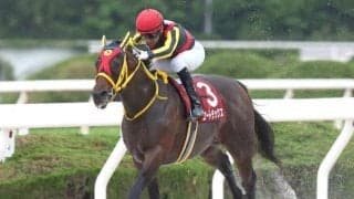 【浦和・オーバルスプリント枠順】J.モレイラ騎手が騎乗するエートラックスは7枠9番