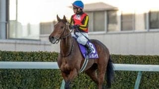 【今日の注目ポイント】中山でオールカマーと阪神で神戸新聞杯