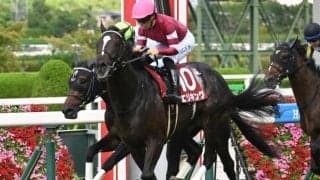【神戸新聞杯】売上は52億3145万600円で昨年より約7.7億円減少