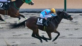【マリーンC】プロミストジーンなどJRA馬は４頭