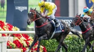 【スプリンターズS】香港馬ラッキースワイネスは5枠10番へ