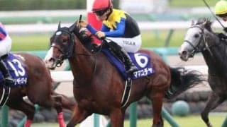 霜降り明星・粗品はママコチャが本命 スプリンターズSは3連単で勝負だ
