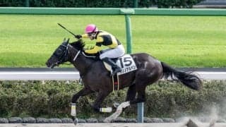 【新馬/中山4R】シャンハイボビー産駒 サノノアルペンがデビューV