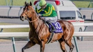 【スプリンターズS・馬体重】サトノレーヴは538kg、ナムラクレアは478kg(±0)