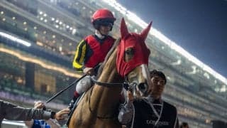 【毎日王冠登録馬】チェルヴィニアなど13頭