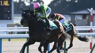 【毎日王冠予想オッズ】サトノシャイニングが予想1番人気