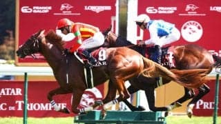 【凱旋門賞】坂口智康調教師「多少の道悪ならこなせる」…ビザンチンドリーム、凱旋門賞へ自信の仕上げ