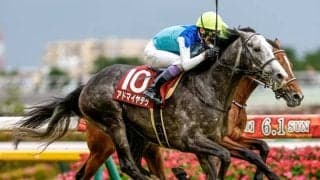 【京都大賞典枠順確定】アドマイヤテラは2枠4番、ショウナンラプンタは8枠18番