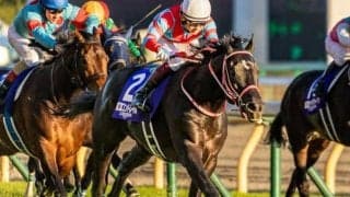 福永祐一厩舎のコントレイル産駒 エアヴァイブスが武豊騎手で新馬勝ち狙う