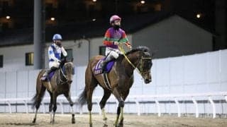 【レディスプレリュード】テンカジョウなどJRA馬5頭