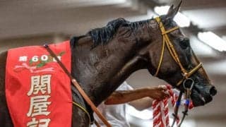 【アイルランドT想定馬・騎手】カナテープ、アドマイヤマツリなど19頭