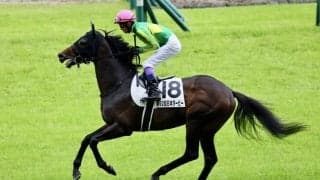武豊騎手 今週の騎乗馬…毎日王冠ではサトノシャイニングとのコンビ