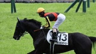 【凱旋門賞】北村友「非常に難しい枠だなと思います」…クロワデュノールは大外へ