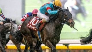 【菊花賞想定】エネルジコやショウヘイなど20頭